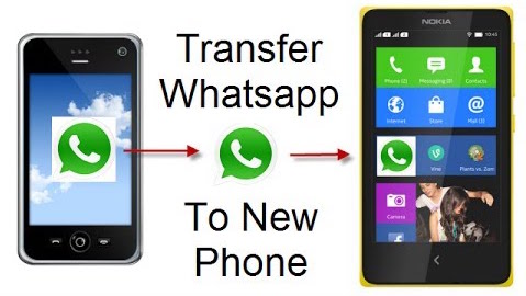 WhatsApp Transfer